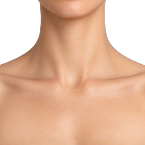 neck medium