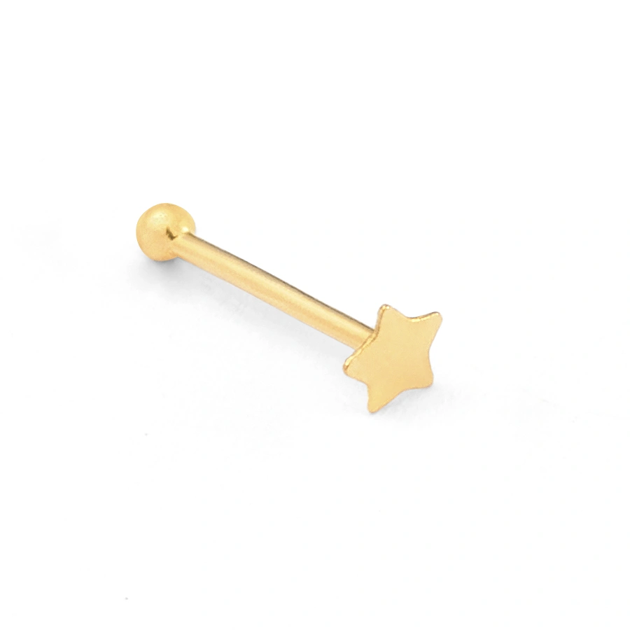 14K Gold Micro Star Nose Stud (1121NR)