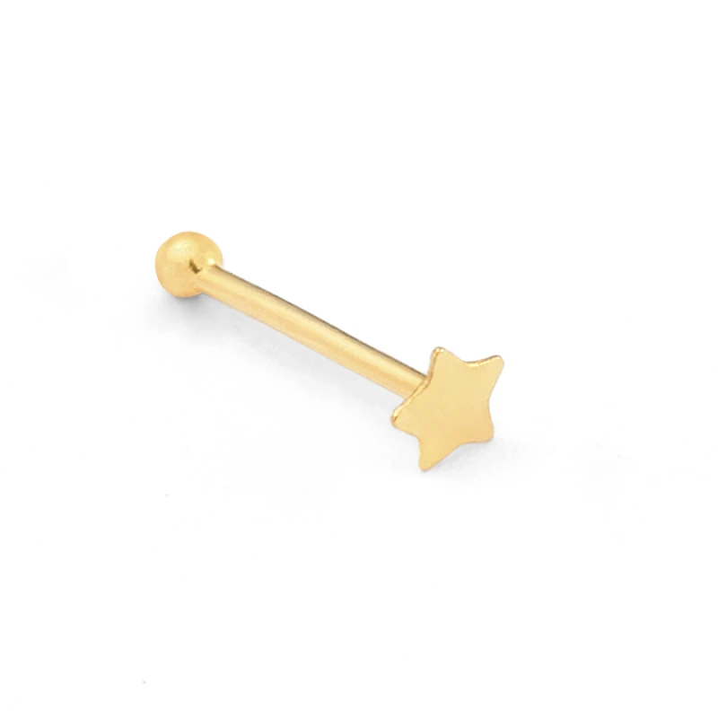 14K Gold Micro Star Nose Stud (1121NR)